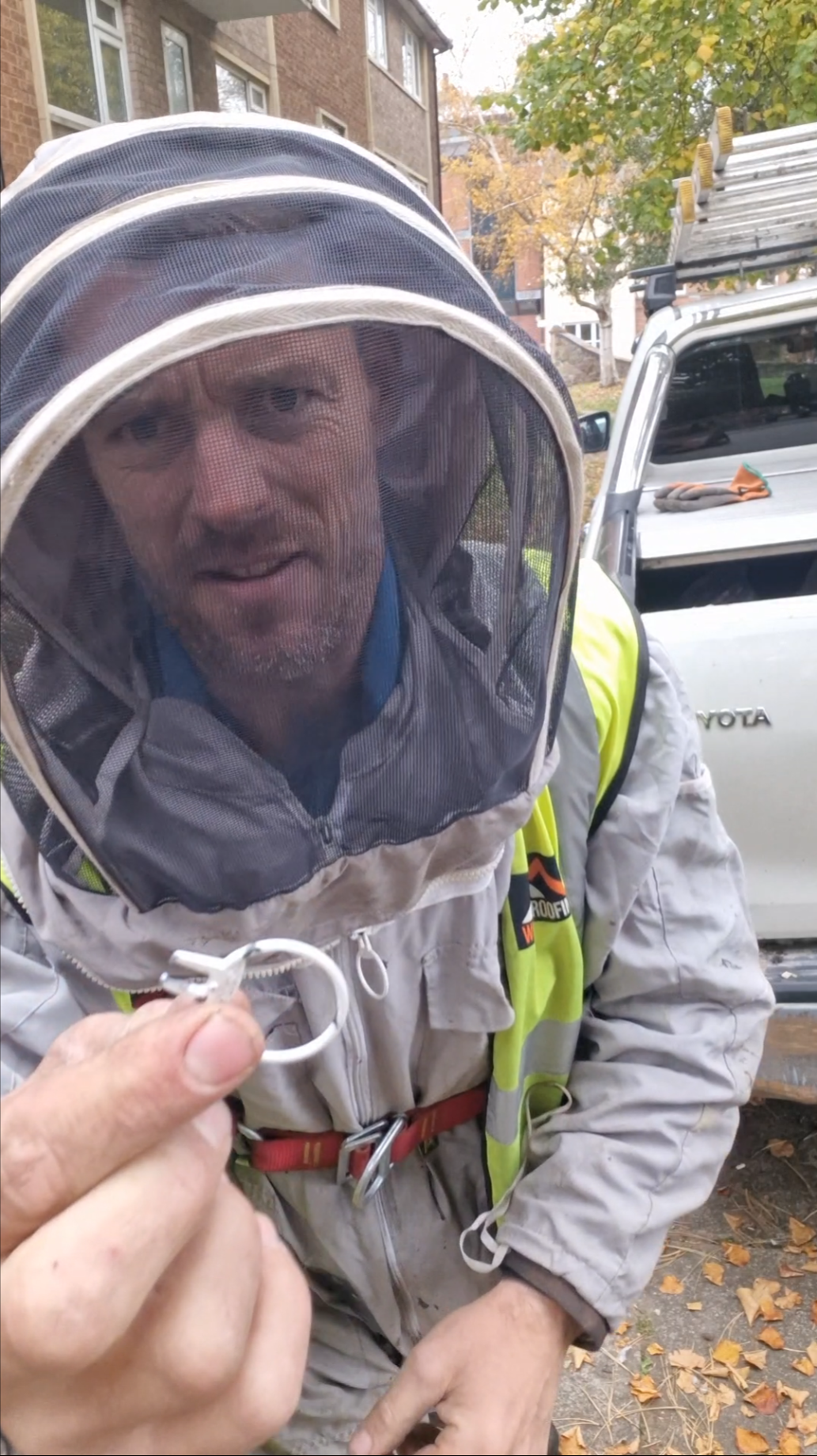Roof Tops and Pit Stops – Pigeons, Parking Puzzles & A Waspish Ending