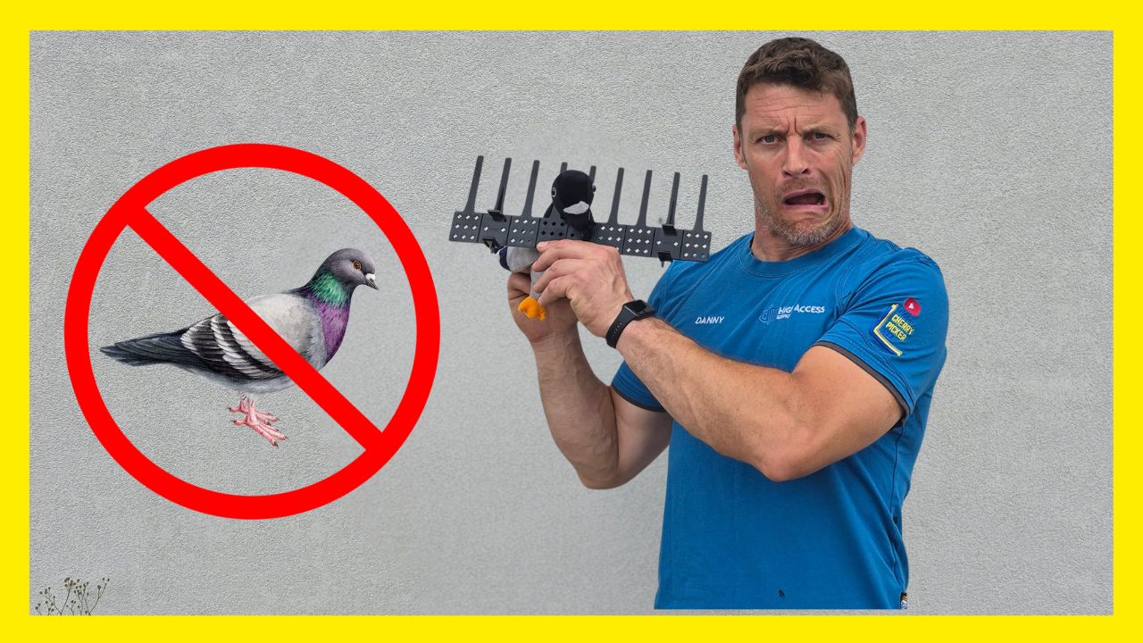 Defender Jaws Solar Panel Bird Excluders – Honest Review From a Real Install